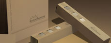 brochures & catalogues
