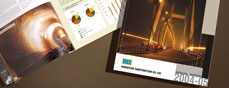 annual reports