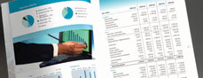annual reports